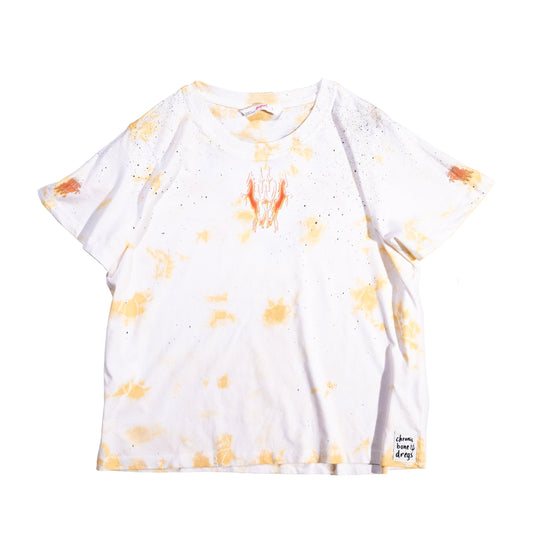 Dregs 069 L